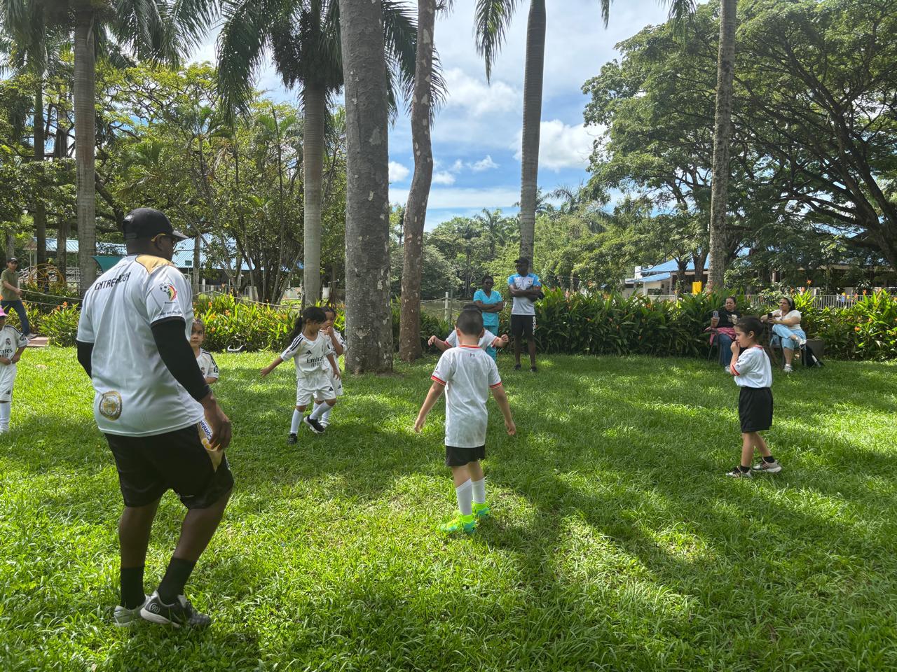 Intercursos Primaria