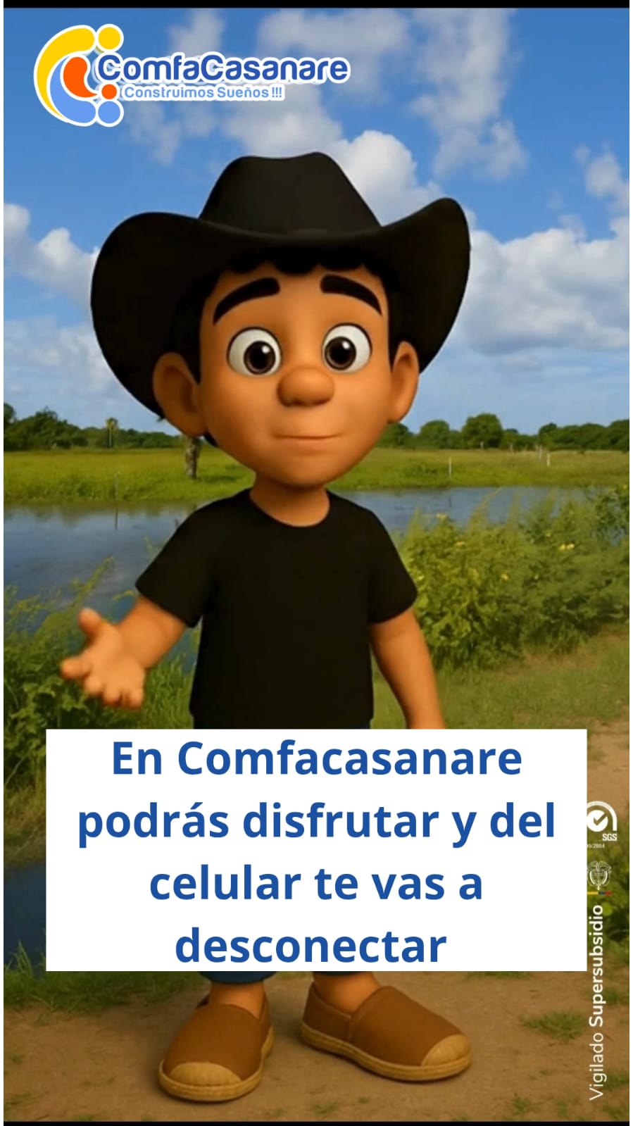 Uso de Pantallas